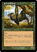 樹上の草食獣/Arboreal Grazer (RVR)【旧枠版】《Foil》