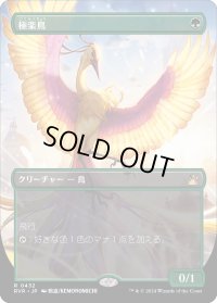極楽鳥/Birds of Paradise (RVR)【拡張アート版】