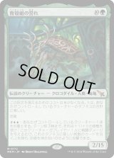育殻組の誉れ/The Pride of Hull Clade (MKM)