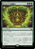 大ドルイドの魔除け/Archdruid's Charm (MKM)