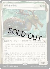 育殻組の誉れ/The Pride of Hull Clade (MKM)【事件簿版】
