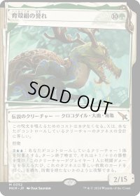育殻組の誉れ/The Pride of Hull Clade (MKM)【事件簿版】