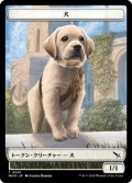 犬 トークン/Dog Token 【No.1】 (MKM)