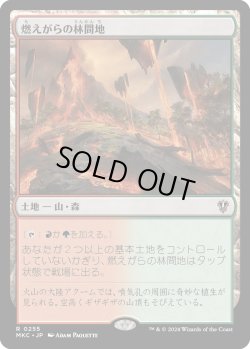 画像1: 燃えがらの林間地/Cinder Glade (MKC)