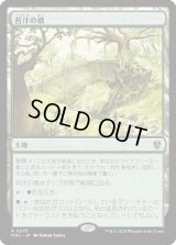 苔汁の橋/Mosswort Bridge (MKC)