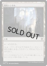 接続トンネル/Access Tunnel (MKC)