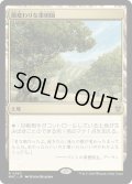 風変わりな果樹園/Exotic Orchard (MKC)