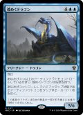 煌めくドラゴン/Shimmer Dragon (MKC)
