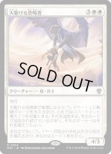 天駆ける恐喝者/Aerial Extortionist (MKC)