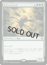 女王スズメバチ/Hornet Queen (MKC)