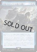 浄化プロジェクトを懸けた戦い/Struggle for Project Purity (PIP)【拡張アート版】