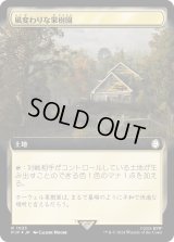 風変わりな果樹園/Exotic Orchard (PIP)【拡張アート：サージ・フォイル版】