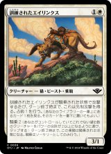 訓練されたエイリンクス/Trained Arynx (OTJ)