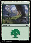 森/Forest 【Ver.2】 (OTJ)