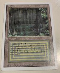 Bayou (3ED) 【NM-~EX+】
