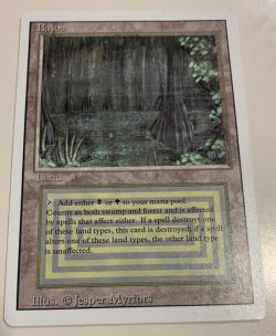 画像1: Bayou (3ED) 【NM-~EX+】