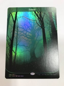 画像1: 森/Forest (UST)《Foil》【NM~NM-】【10thカウントダウン】