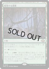 変容する森林/Shifting Woodland (MH3)