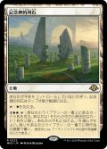 記念碑的列石/Monumental Henge (MH3)