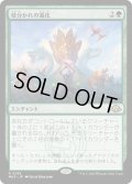 枝分かれの進化/Branching Evolution (MH3)