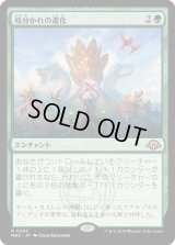 枝分かれの進化/Branching Evolution (MH3)