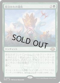 枝分かれの進化/Branching Evolution (MH3)