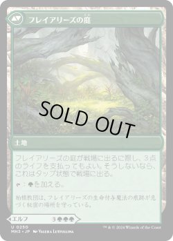 画像2: フレイアリーズの信奉者/Disciple of Freyalise (MH3)