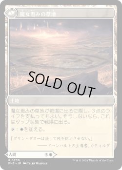 画像2: 魔女の結界師/Witch Enchanter (MH3)