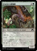 日を浴びる繁殖鱗/Basking Broodscale (MH3)