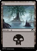 沼/Swamp 【Ver.1】 (MH3)