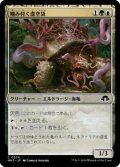 噛み付く虚空袋/Snapping Voidcraw (MH3)《Foil》