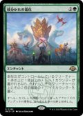 枝分かれの進化/Branching Evolution (MH3)《Foil》