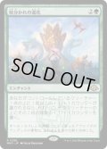 枝分かれの進化/Branching Evolution (MH3)《Foil》