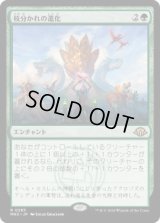 枝分かれの進化/Branching Evolution (MH3)《Foil》