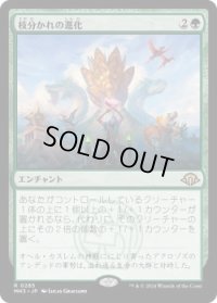 枝分かれの進化/Branching Evolution (MH3)《Foil》