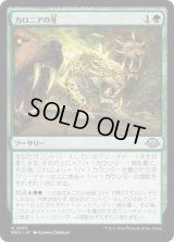 カロニアの牙/Fangs of Kalonia (MH3)《Foil》