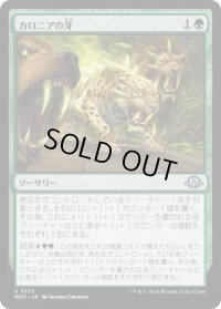 カロニアの牙/Fangs of Kalonia (MH3)《Foil》