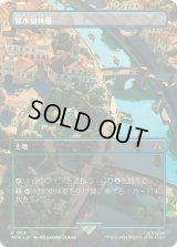 冠水樹林帯/Waterlogged Grove (ACR)【拡張アート版】