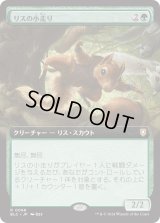リスの小走り/Scurry of Squirrels (BLC)【拡張アート版】