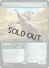 輝き茸のアナグマ/Brightcap Badger (BLC)【拡張アート版】