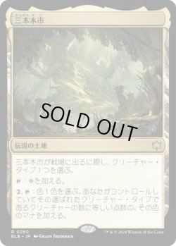 画像1: 三本木市/Three Tree City (BLB)《Foil》