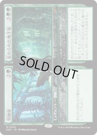 収納室+忘れられた地下室/Walk-In Closet+Forgotten Cellar (DSK)