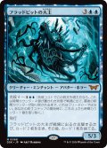 フラッドピットの大主/Overlord of the Floodpits (DSK)