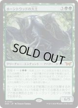 ホーントウッドの大主/Overlord of the Hauntwoods (DSK)