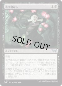 逃げ場なし/Nowhere to Run (DSK)