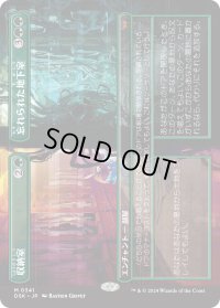 収納室+忘れられた地下室/Walk-In Closet+Forgotten Cellar (DSK)【拡張アート版】