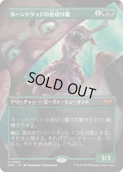 画像1: ホーントウッドの金切り魔/Hauntwoods Shrieker (DSK)【拡張アート版】