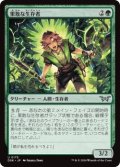 果敢な生存者/Defiant Survivor (DSK)《Foil》