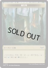 遍在地 トークン/Everywhere Token 【No.16】 (DSK)