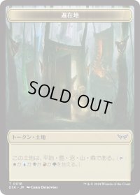 遍在地 トークン/Everywhere Token 【No.16】 (DSK)